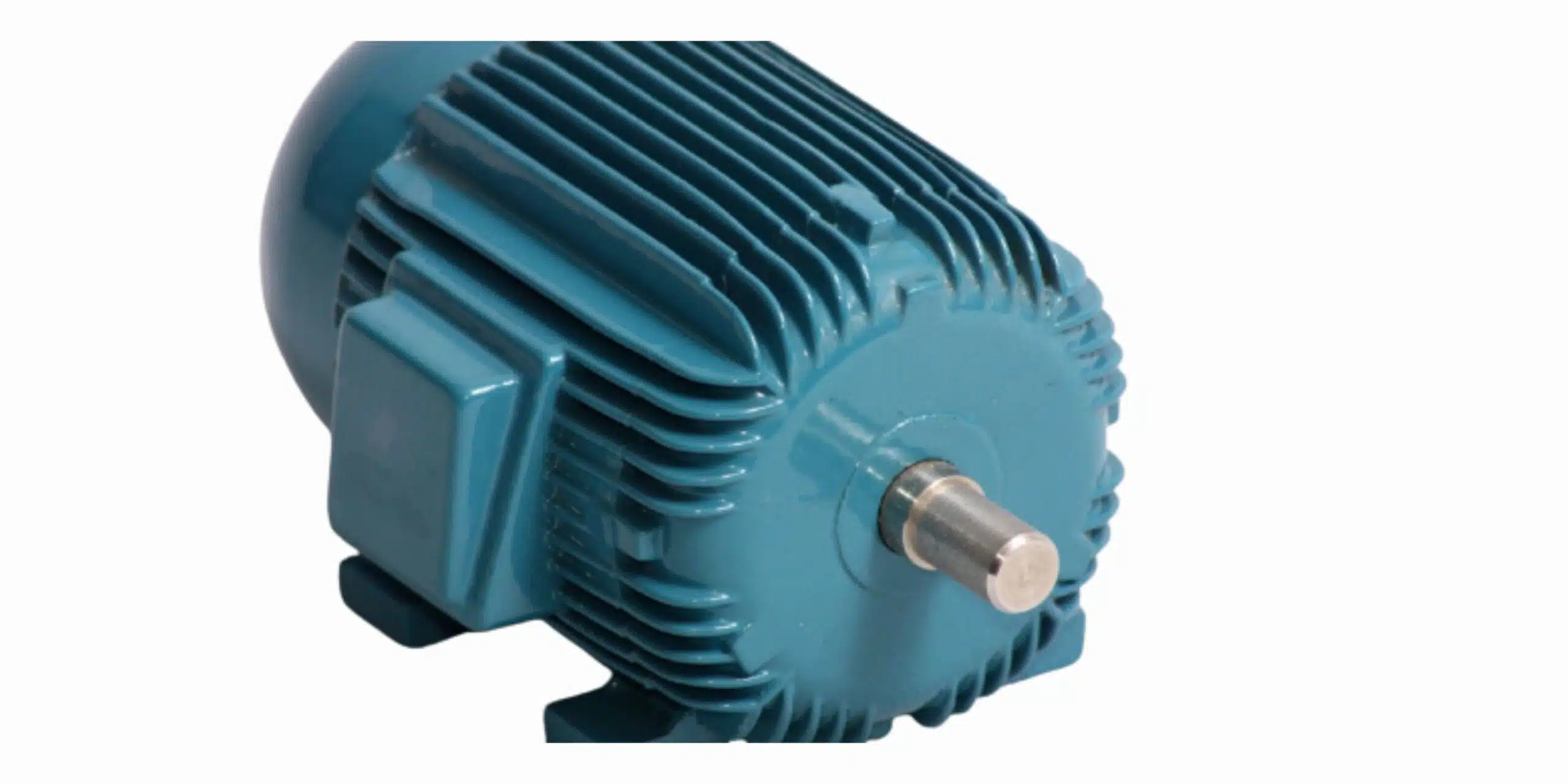 Pumps & Motors 2 blue pool motor