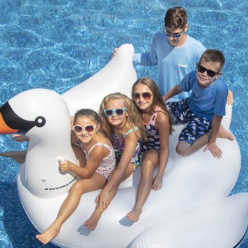 Pool Fountains, Accessories, Games, Floats, & More At Mr. Pool of Pasco & Crystal River 5 Swan pool floatie