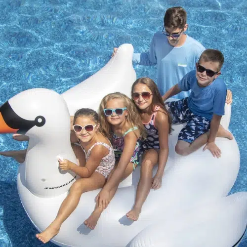 Pool Fountains, Accessories, Games, Floats, & More At Mr. Pool of Pasco & Crystal River 5 Swan pool floatie